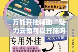 万能开挂辅助“魅力云南可以开挂吗有挂”专业师傅带你一起了解(确实有挂