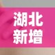 湖北新增本土无症状3例—（湖北新增无症状感染者9例,现有确诊病例6例）