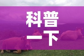 科普一下“微信怎么建房玩斗牛牛啊”详细房卡教程