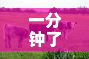 一分钟了解“微信牛牛群房卡怎么弄”链接房卡在哪里获取