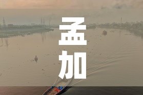 房卡必备教程“微信斗牛如何买房卡”房卡使用教程