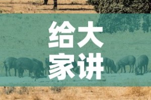 给大家讲解“斗牛房卡牛牛房卡”详细房卡教程
