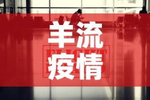 羊流疫情最新报道消息：羊流疫情最新报道消息查询
