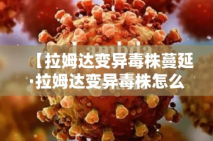 给大家讲解“微信金花房卡怎样购买”链接房卡在哪里获取