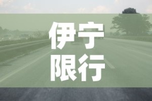 伊宁限行外地 → 伊宁限行外地车