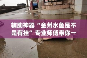玩家必备教程“金花房卡代理销售”轻松获取房卡全渠道