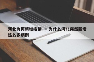 河北为何新增疫情 → 为什么河北突然新增这么多病例
