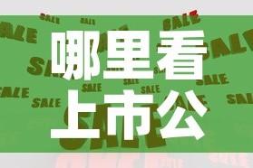 哪里看上市公司现金价值 → 如何看上市公司的现金