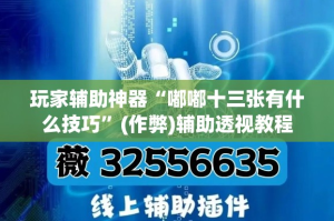 玩家辅助神器“嘟嘟十三张有什么技巧”(作弊)辅助透视教程