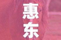 惠东大岭疫情最新动态 → 惠东大岭镇最新规划图