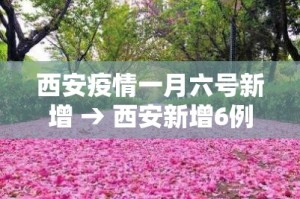 西安疫情一月六号新增 → 西安新增6例本土确诊