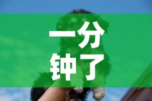 一分钟了解“斗牛房卡牛牛房卡”详细房卡教程