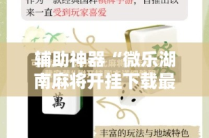 辅助神器“微乐湖南麻将开挂下载最新版”分享用挂教程