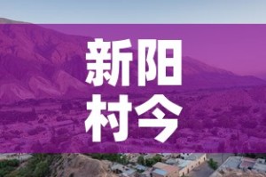 新阳村今天新增几例疫情 → 新阳村属于什么镇