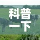 【上海恒大足球场租金价格·恒大足球场造价分析】