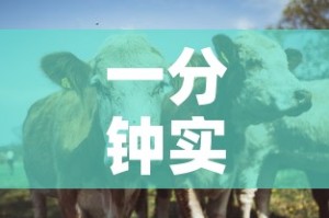 一分钟实测分享“微信牛牛群斗牛群”链接房卡在哪里获取