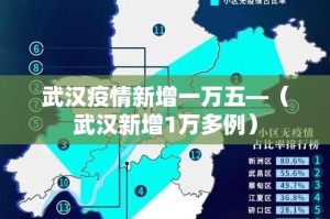 武汉疫情新增一万五—（武汉新增1万多例）