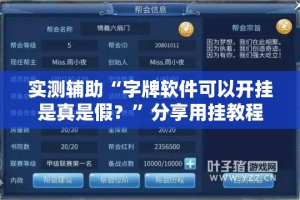 实测辅助“字牌软件可以开挂是真是假？”分享用挂教程