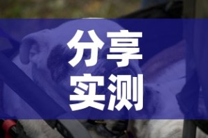 【万福有疫情了么今天新增,万福区在哪】