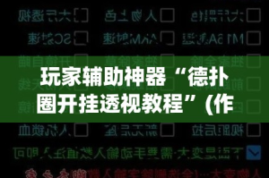 玩家辅助神器“德扑圈开挂透视教程”(作弊)辅助透视教程