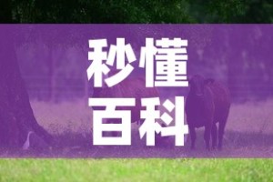 泉州市巫山最新疫情—（泉州市疫情实时动态）