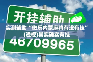 实测辅助“微乐内蒙麻将有没有挂”(透视)其实确实有挂