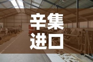 房卡必备教程“微信金花房卡在哪里充”轻松获取房卡全渠道