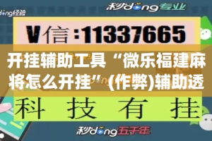 开挂辅助工具“微乐福建麻将怎么开挂”(作弊)辅助透视教程