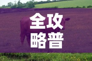 全攻略普及“微信牛牛群房间卡如何购买”详细房卡教程