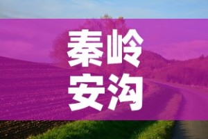 秦岭安沟最新疫情情况—（秦安岭是哪里）