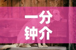 一分钟介绍使用“微信斗牛房卡找谁买”房卡使用教程