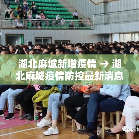 一分钟实测分享“微信牛牛链接房卡哪里买的”轻松获取房卡全渠道