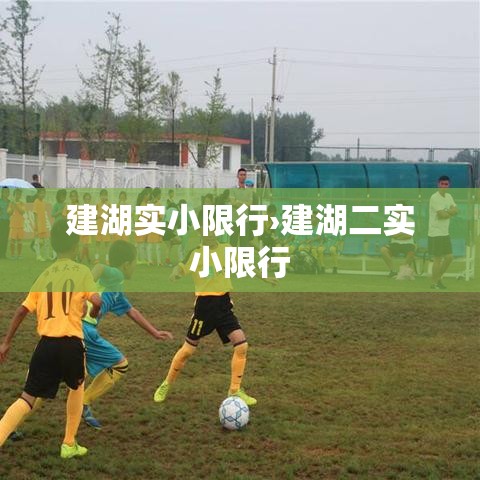 房卡必备教程“微信金花房卡如何购买”链接房卡在哪里获取