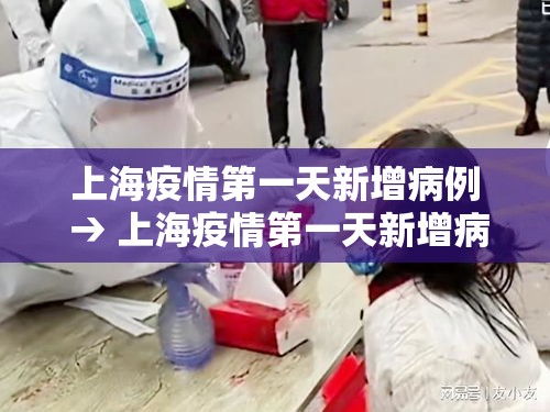上海疫情第一天新增病例 → 上海疫情第一天新增病例多少 上海疫情第一天新增病例 → 上海疫情第一天新增病例多少