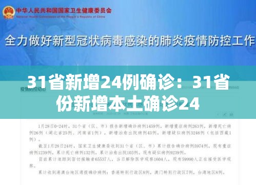 31省新增24例确诊：31省份新增本土确诊24