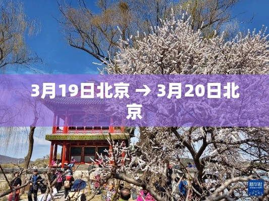 一分钟了解“微信金花链接房卡”详细房卡使用教程