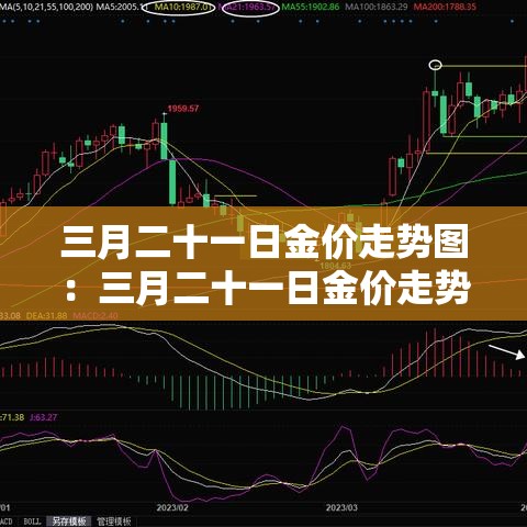 臻传一生3年现金价值表—（臻爱一生20终身重疾）