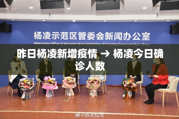 昨日杨凌新增疫情 → 杨凌今日确诊人数