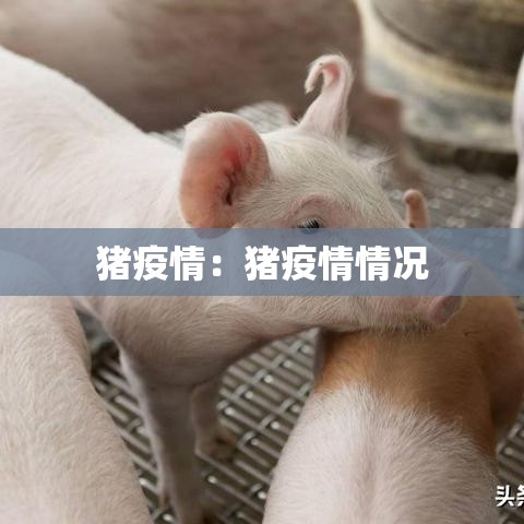 六枝疫情新增几例病例了›六枝特区2021春节疫情通知 六枝疫情新增几例病例了›六枝特区2021春节疫情通知