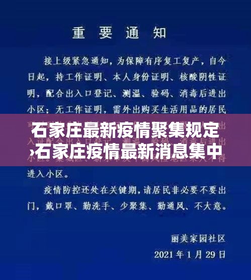 石家庄最新疫情聚集规定›石家庄疫情最新消息集中隔离