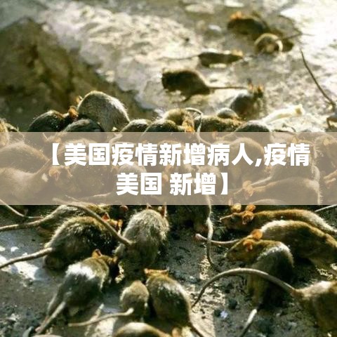 房卡全攻略“微信牛牛房卡客服微信号”房卡链接获取