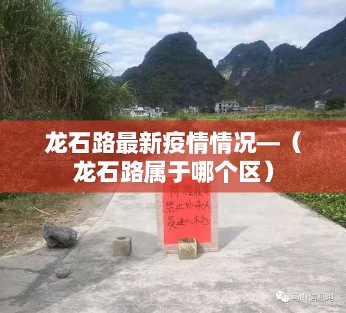 龙石路最新疫情情况—（龙石路属于哪个区）