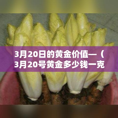 给大家讲解“炸 金花链接房卡哪里买	”详细房卡怎么购买教程