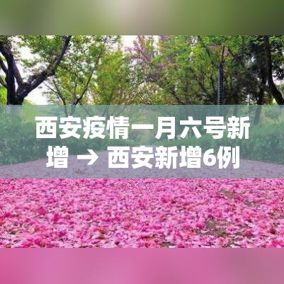 西安疫情一月六号新增 → 西安新增6例本土确诊