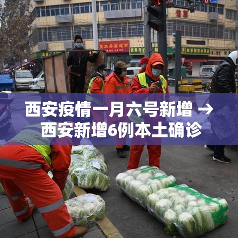 西安疫情一月六号新增 → 西安新增6例本土确诊