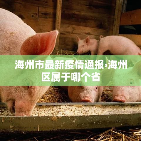 海州市最新疫情通报›海州区属于哪个省