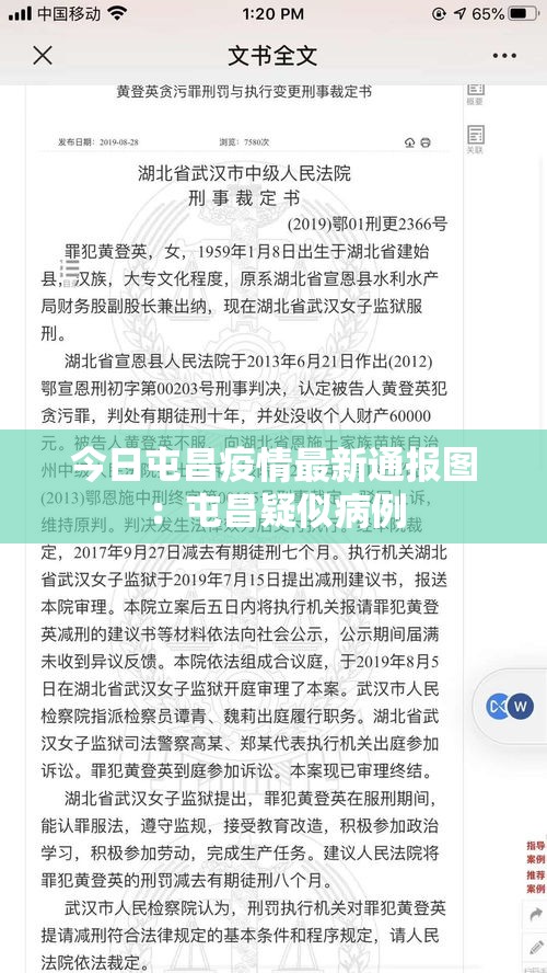 今日屯昌疫情最新通报图：屯昌疑似病例