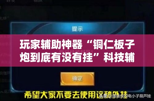 玩家辅助神器“铜仁板子炮到底有没有挂”科技辅助神器手机版