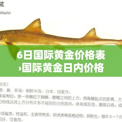 6日国际黄金价格表›国际黄金日内价格 6日国际黄金价格表›国际黄金日内价格