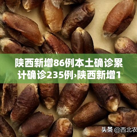 给大家讲解“微信牛牛链接版有房卡	”链接房卡在哪里获取